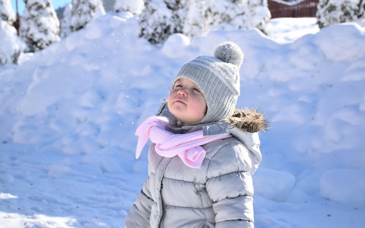 1478875553snow 1217124 960 720 1478875553snow 1217124 960 720